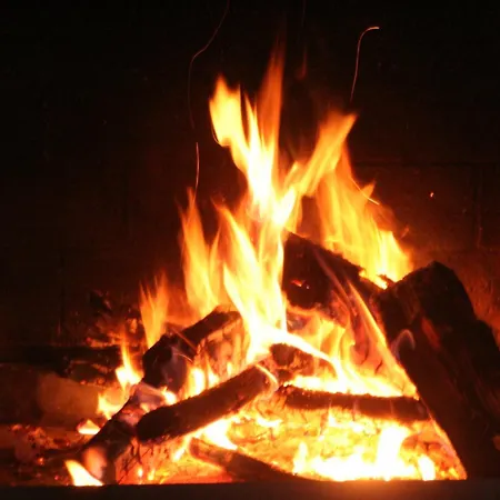 Lifesport Hechenmoos